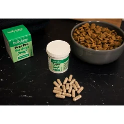Bellylabs Pre+Pro 60 kapselia
