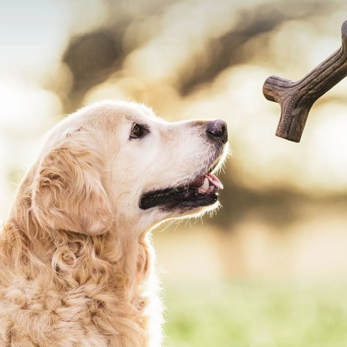 Benebone Bacon Stick