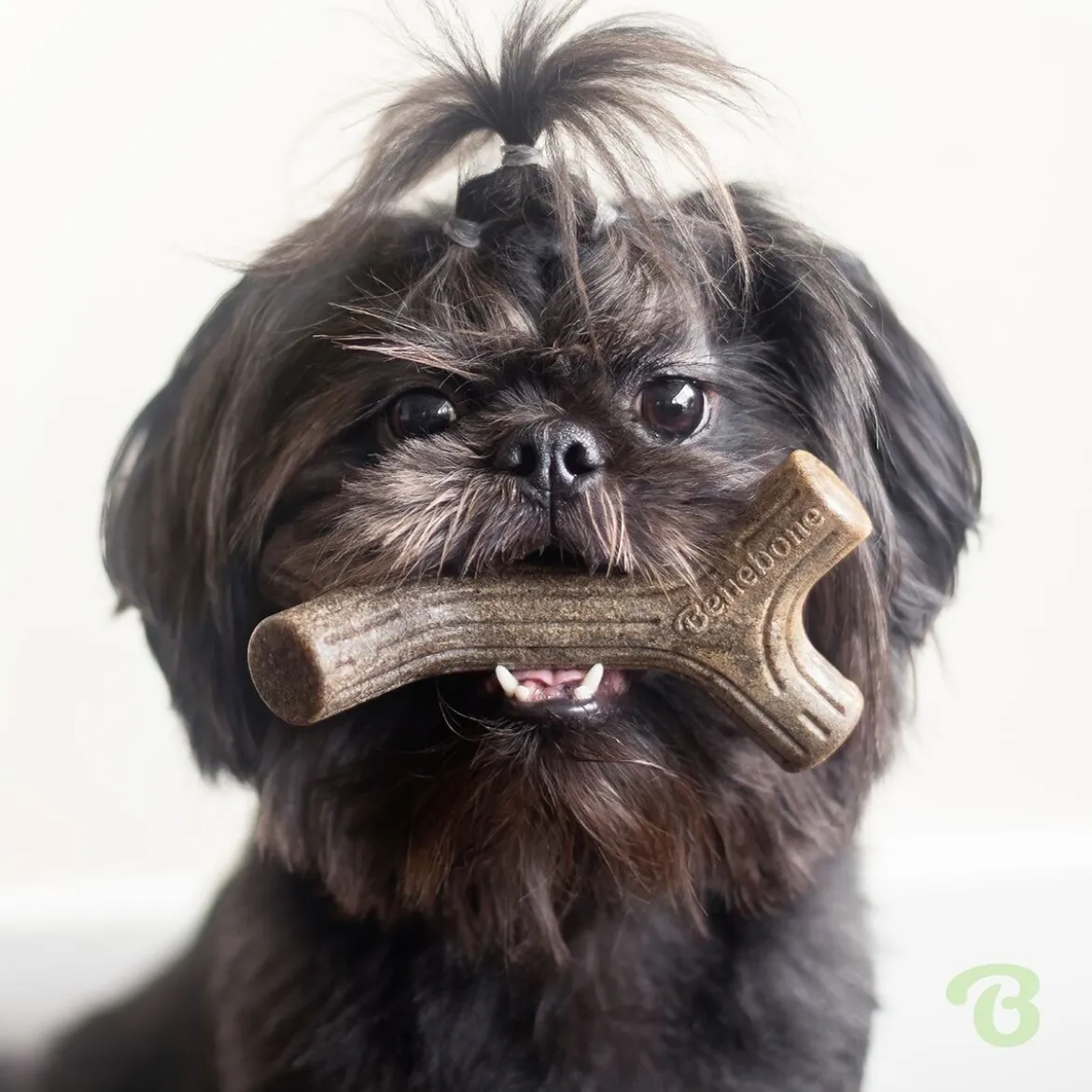 Benebone Bacon Stick