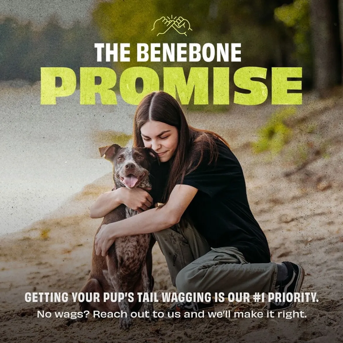 Benebone Bounce Tug