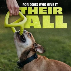 Benebone Bounce Tug