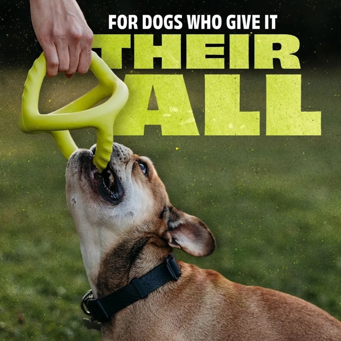 Benebone Bounce Tug