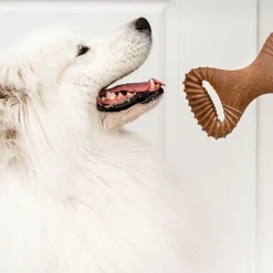 Benebone Dental Chew Bacon