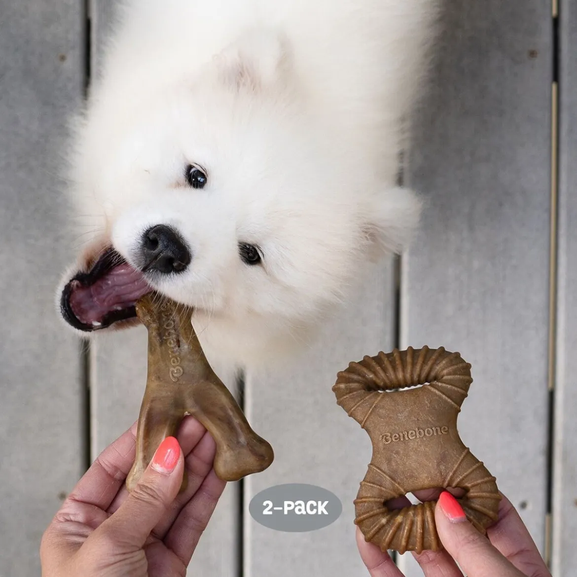 Benebone 2 kpl - Dental Chew/Wishbone Bacon Tiny