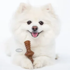 Benebone 2 kpl - Maplestick/Zaggler Bacon Tiny