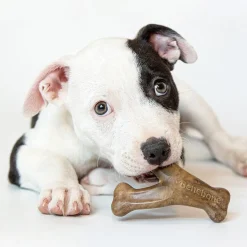 Benebone Puppy 2 kpl - Dental Chew/Wishbone Bacon Tiny