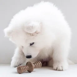 Benebone Puppy 2 kpl - Maplestick/Zaggler Bacon Tiny