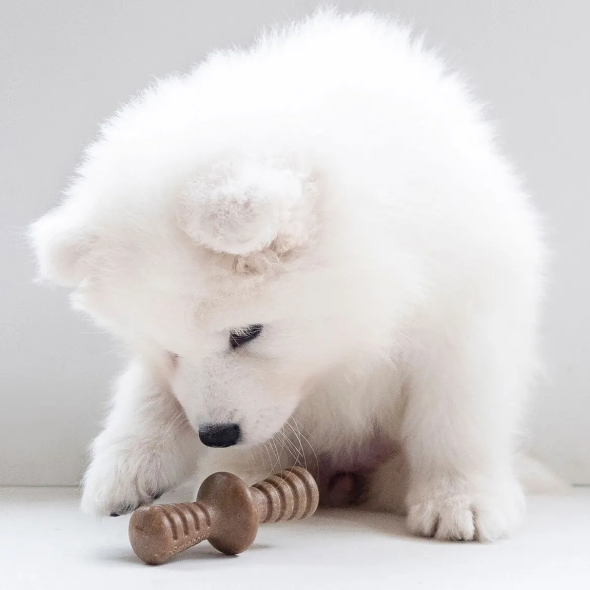 Benebone Puppy 2 kpl - Maplestick/Zaggler Bacon Tiny