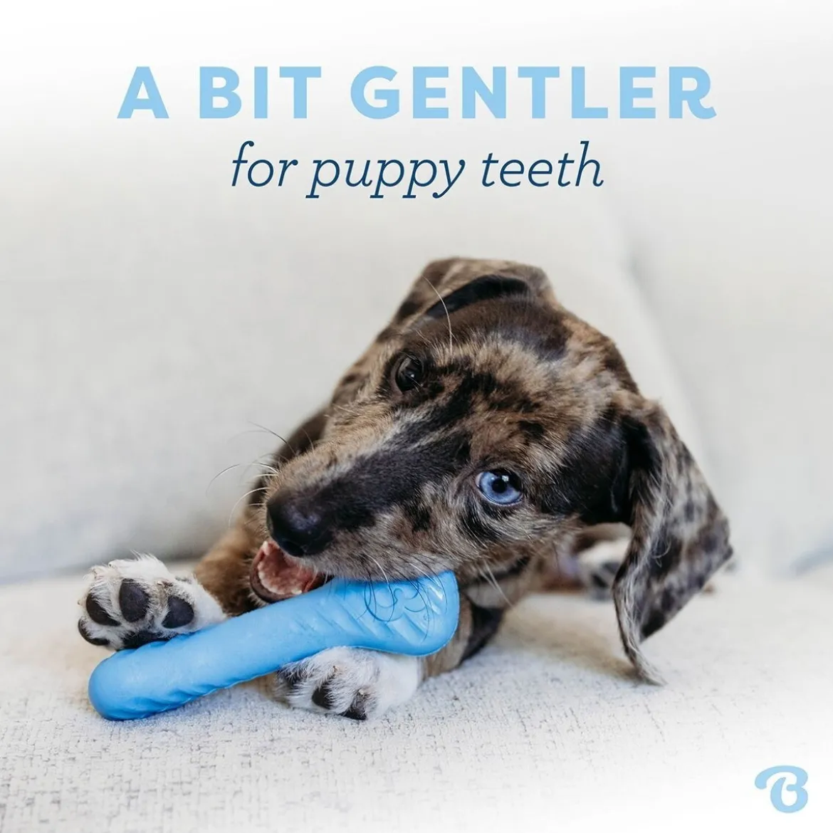 Benebone Puppy Rubber Bones Bacon Tiny 2 kpl