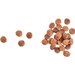 Brit Care Cat Grain-Free Large cats Power & Vitality