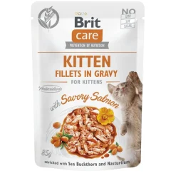 Brit Care Cat Kitten lohi kastikkeessa 85 g