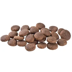 Brit Care Dog Adult Large Breed Grain-Free Salmon