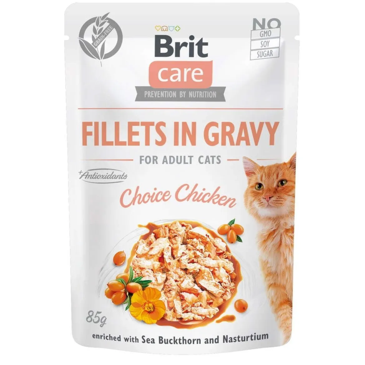 Brit Care Gravy kanafilee kastikkeessa 85 g