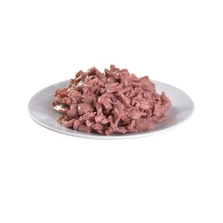 Brit Care Gravy kanafilee kastikkeessa 85 g