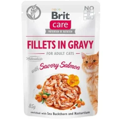Brit Care Gravy lohifilee kastikkeessa 85 g