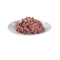 Brit Care Gravy lohifilee kastikkeessa 85 g