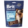 Brit Premium by Nature Dog Snacks Lamb&Sea buckthorn 180g