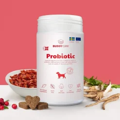 BuddyCare Probiotic 150 g