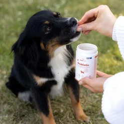BuddyCare Probiotic 150 g