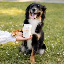 BuddyCare Skin & Coat 150 g