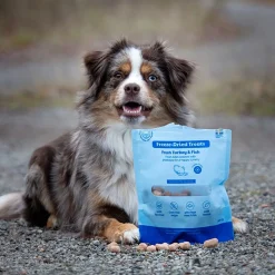 Buddy Freeze-dried kalkkuna & kala 100 g
