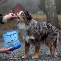 Buddy Freeze-dried kalkkuna & kala 100 g