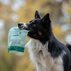 Buddy Freeze-dried kalkkuna & tonnikala 100 g