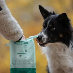 Buddy Freeze-dried kalkkuna & tonnikala 100 g