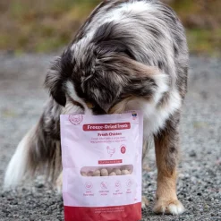 Buddy Freeze-dried kana 100 g