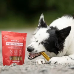 Buddy GF Veggie Dental Chew M