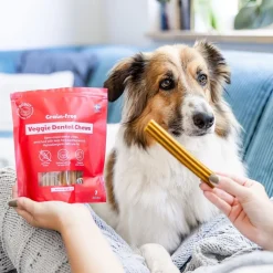 Buddy GF Veggie Dental Chew M