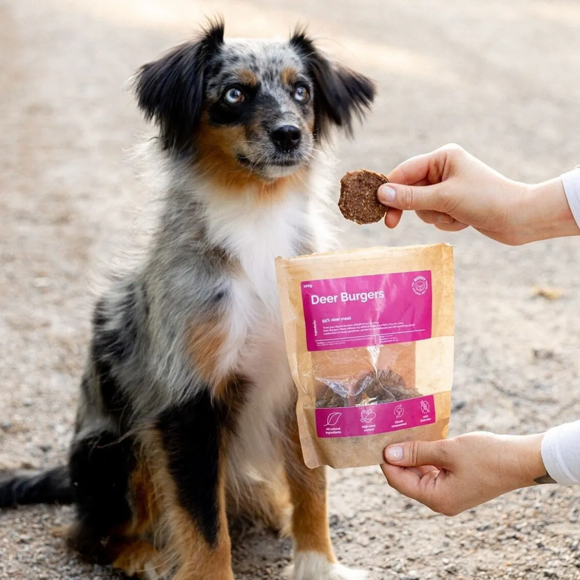 Buddy Peuraburgerherkku koiralle 100g