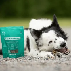 Buddy Veggie Dental Chew M