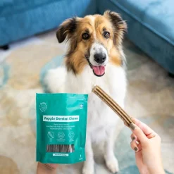Buddy Veggie Dental Chew M