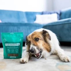 Buddy Veggie Dental Chew M