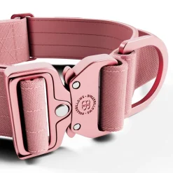 BullyBillows Combat Kahvapanta koiralle, pinkki 5 cm