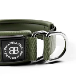 BullyBillows koiran puolikiristävä panta 5 cm, khaki