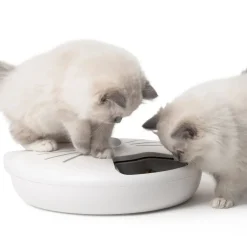 Catit PIXI Smart 6-meal feeder ruokinta-automaatti