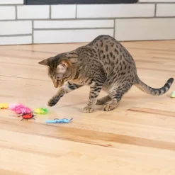 Catstages Cute As A Bug kissanlelut 6-pack