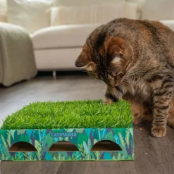 Catstages Grass Patch Hunting laatikko