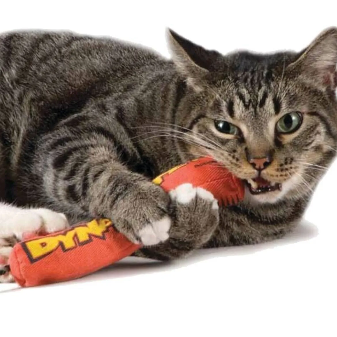 Catstages Green Magic Dynamite kissanlelu punainen
