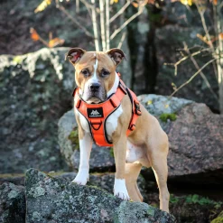 Cerberos Active valjaat, Rescue Orange
