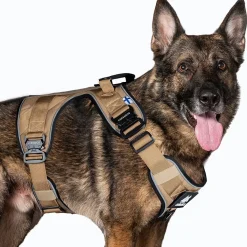 Cerberos Active valjas, Desert Brown