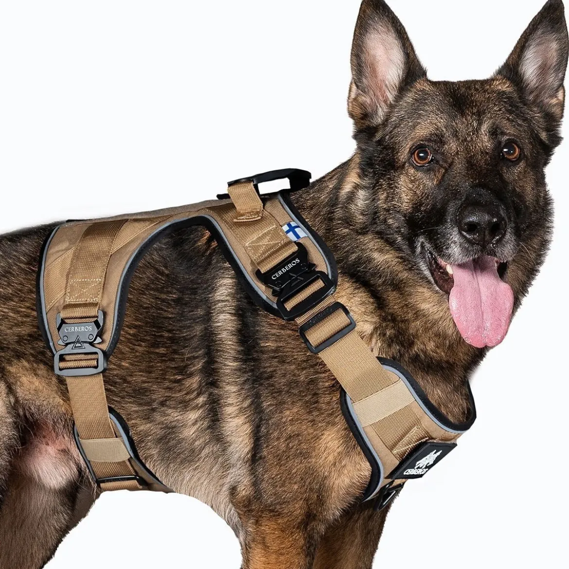 Cerberos Active valjas, Desert Brown