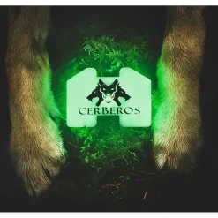 Cerberos huomiovalo