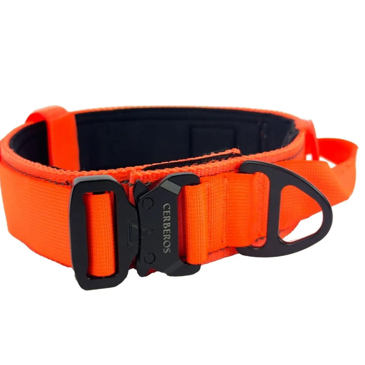 Cerberos panta, Rescue Orange
