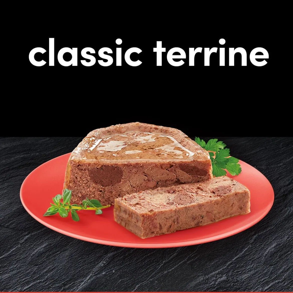Cesar Classic Terrine Adult Loaf 24x150 g