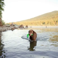 Chuckit Amphibious Boomerang