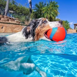 Chuckit Amphibious Megapallo