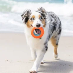 Chuckit Amphibious Roller